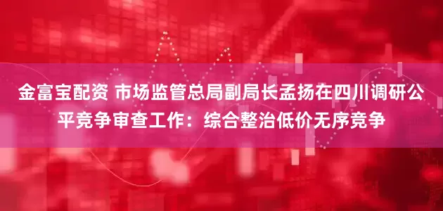 金富宝配资 市场监管总局副局长孟扬在四川调研公平竞争审查工作：综合整治低价无序竞争